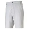 Puma Mens 101 Heather Golf Shorts (On-Sale)